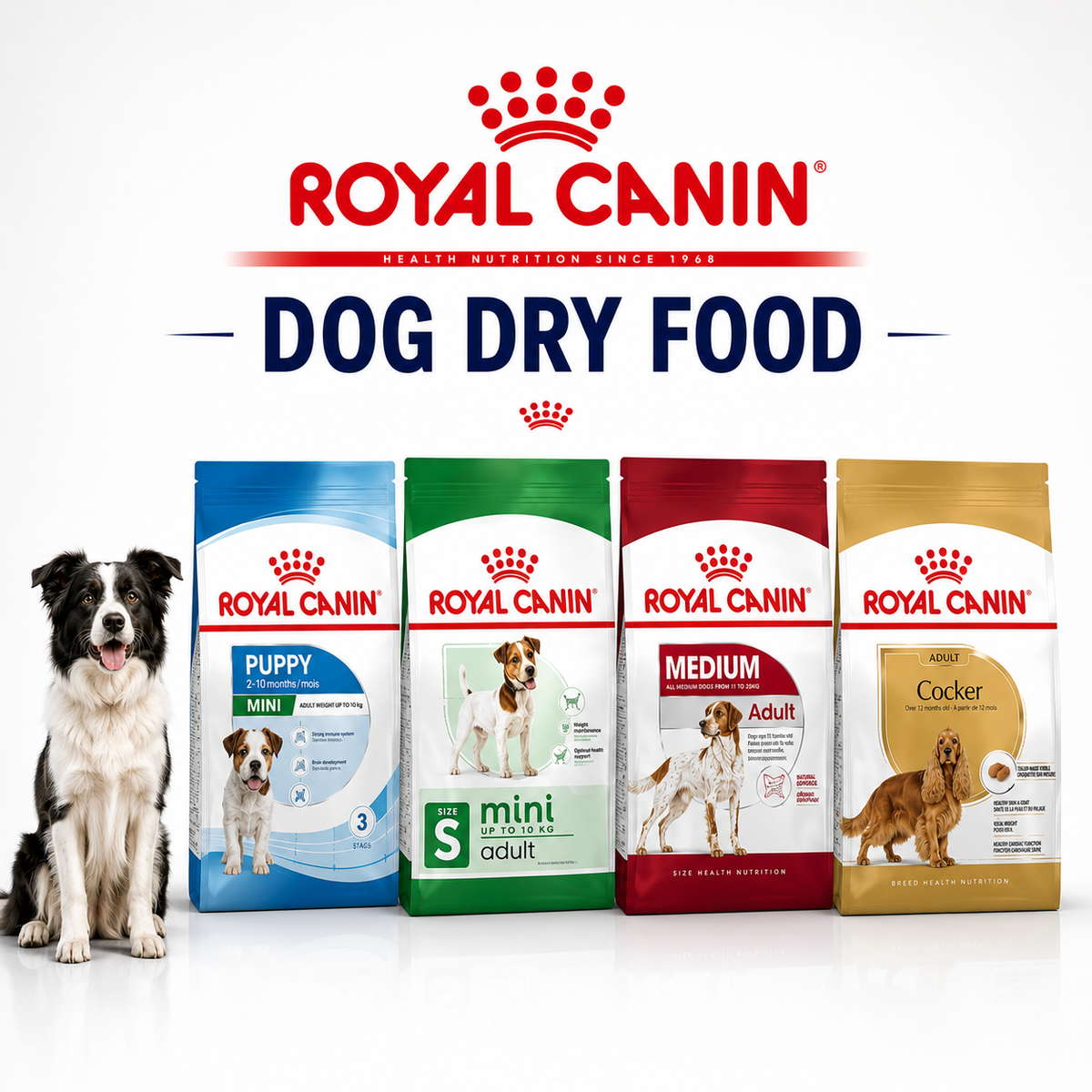 Royal Canin Dog Dry Food