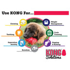 KONG DOG CLASSIC LARGE