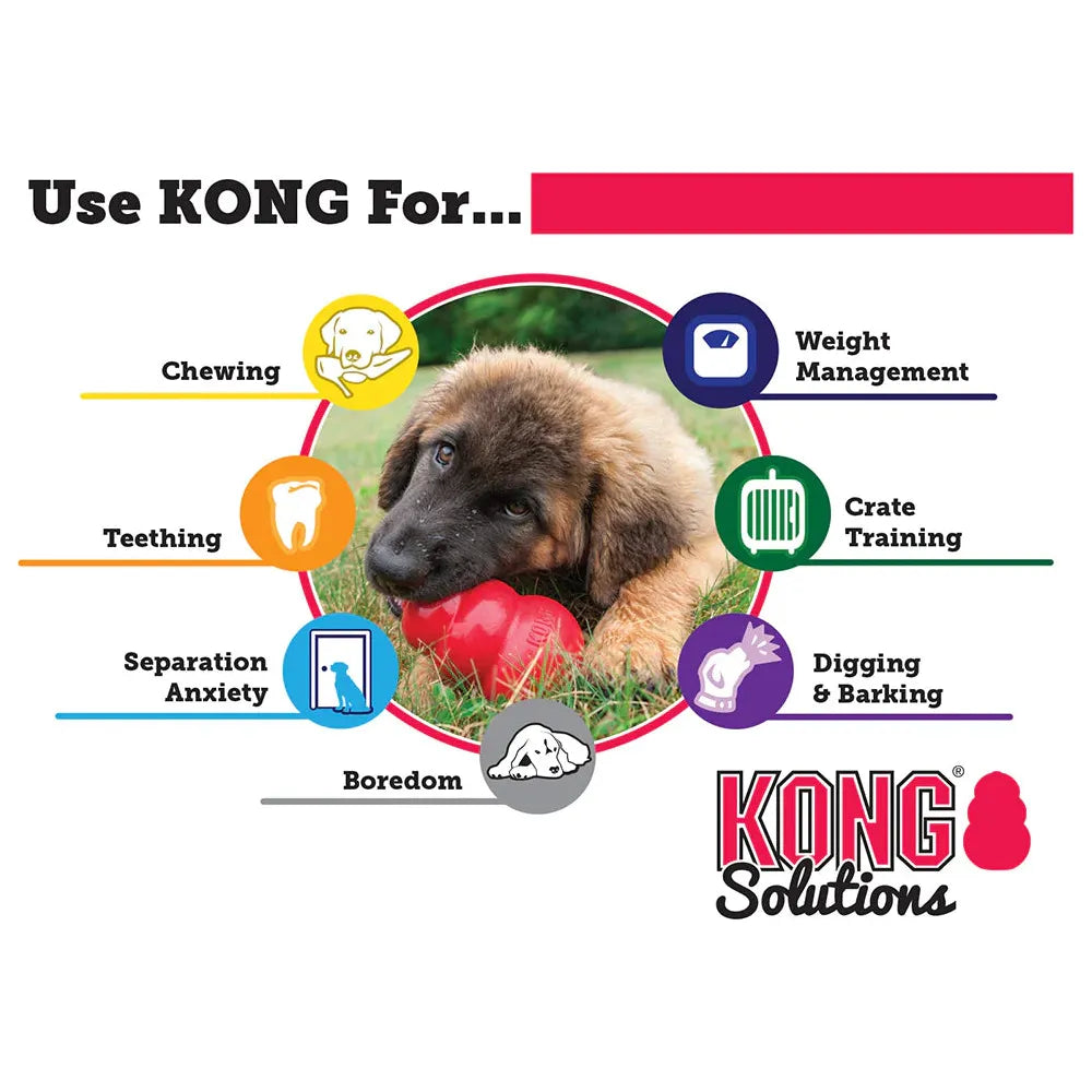 KONG DOG CLASSIC LARGE