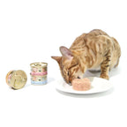 CAT FOREST Premium Tuna White Meat With Shrimp In Gravy Cat Canned Food 85G X 24