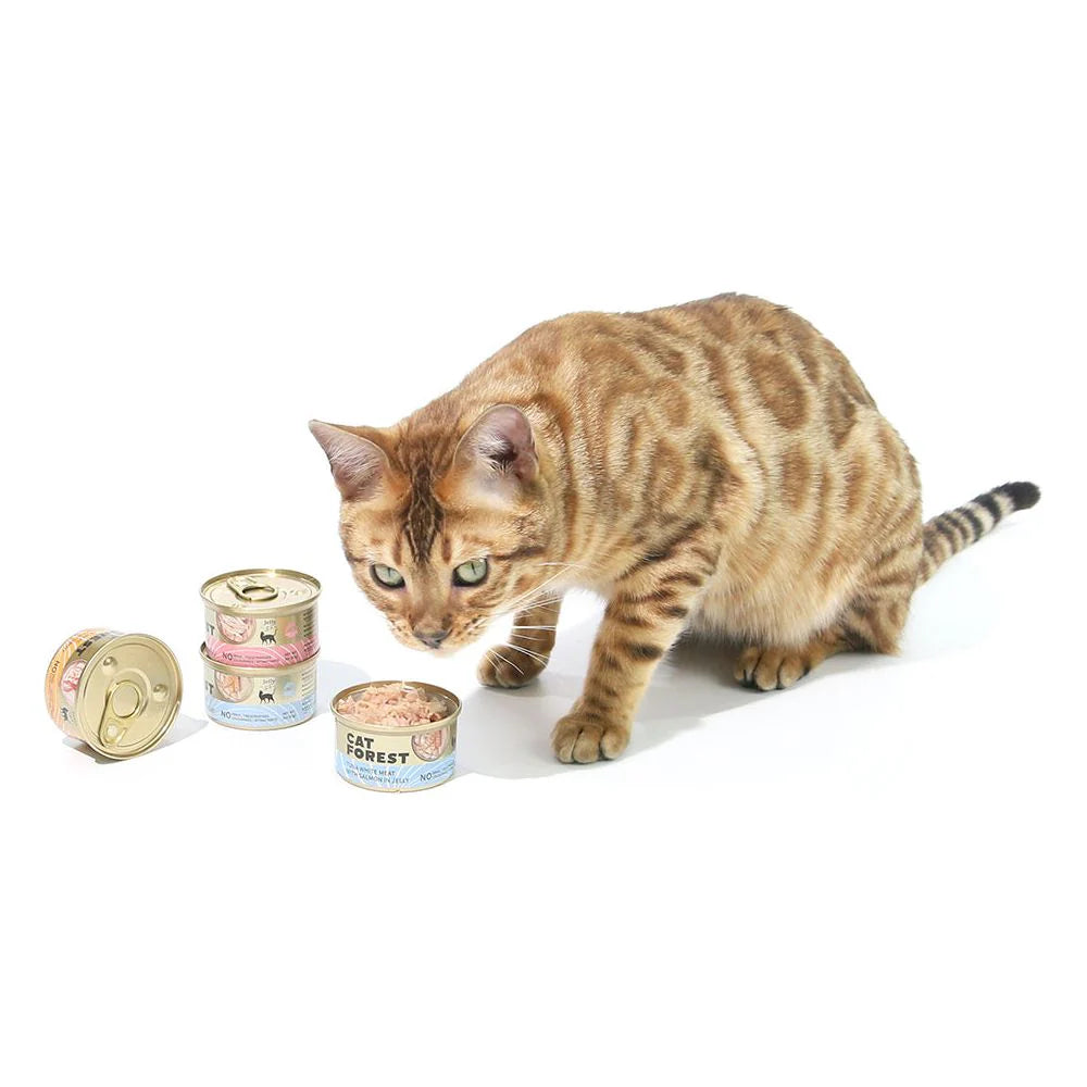 CAT FOREST Premium Tuna White Meat With Salmon In Jelly Cat Canned Food 85G X 24