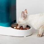 PETKIT Fresh Element SOLO White