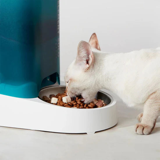PETKIT Fresh Element SOLO White