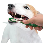 Nylabone Advanced Oral Care Natural Dental Kit for Dogs