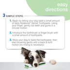 Nylabone Oral Care Tartar Control Toothpaste