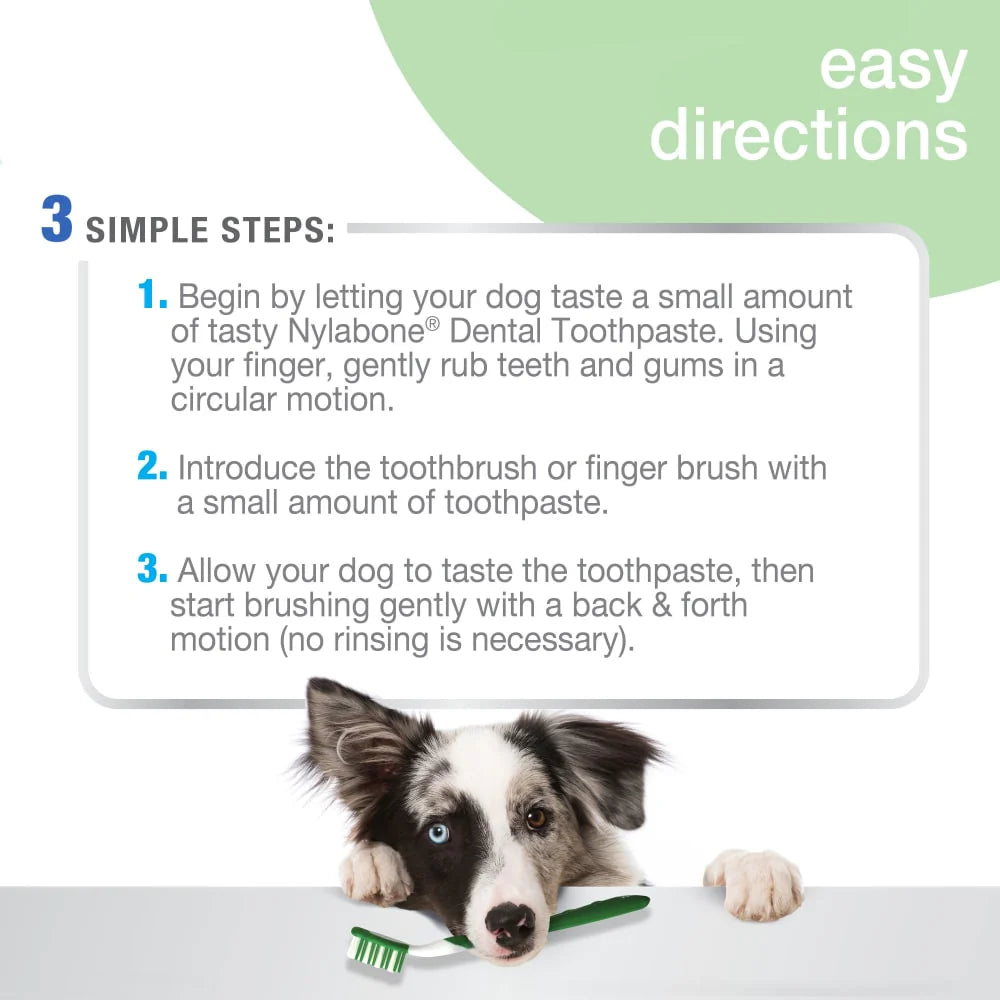 Nylabone Advanced Oral Care Natural Dental Kit for Dogs