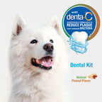 Nylabone Oral Care Tartar Control Toothpaste