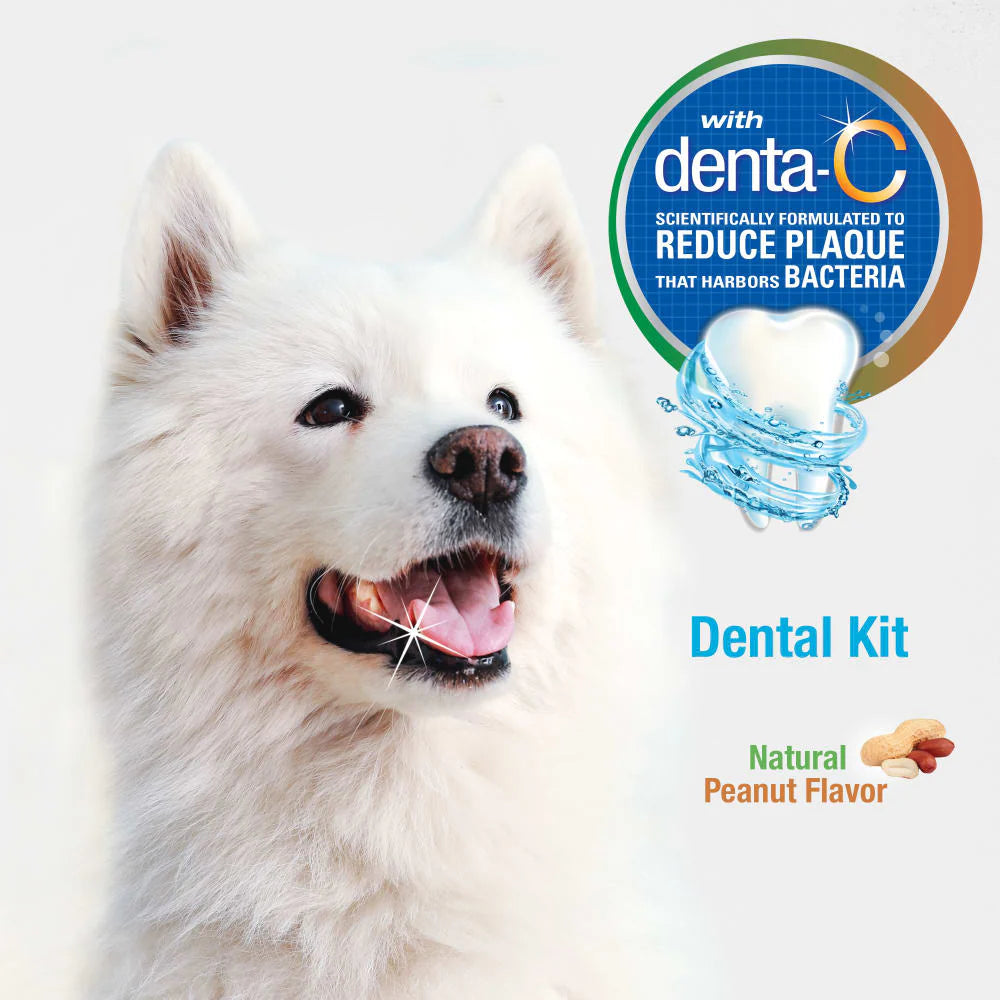 Nylabone Advanced Oral Care Natural Dental Kit for Dogs