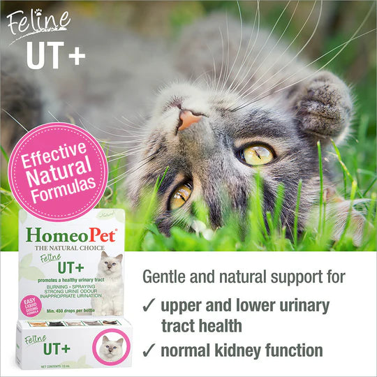 HOMEOPET CAT UT+ PLUS 15ML