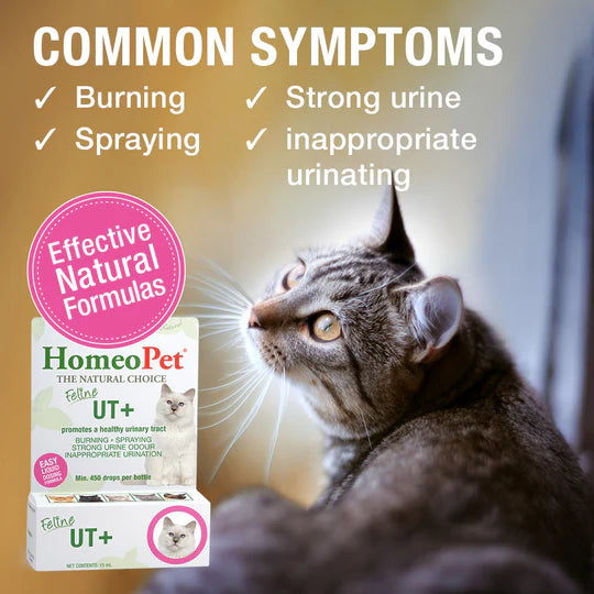 HOMEOPET CAT UT+ PLUS 15ML