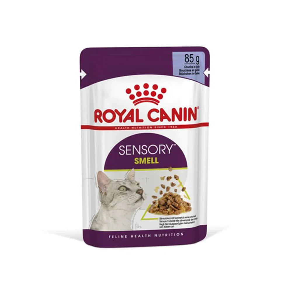 Royal Canin Adult Sensory Smell Wet Cat Food Pouches in Jelly 12 x 85g