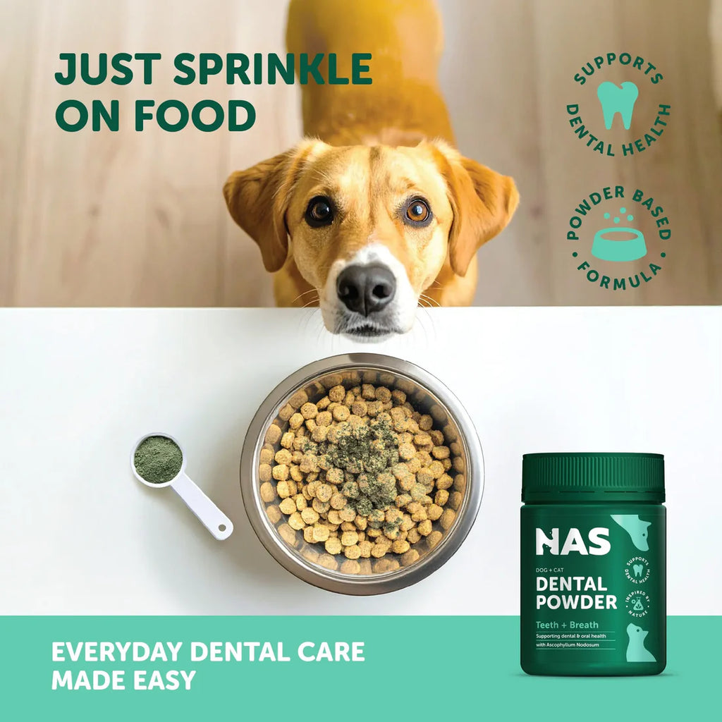 Natural Animal Solutions Dental Powder For Dogs and Cats 80g
