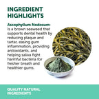 Natural Animal Solutions Dental Powder For Dogs and Cats 80g