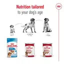 Royal Canin Dog Food Medium Adult Can 410g