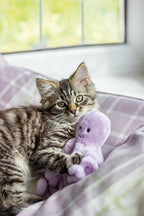 Rosewood Under the Sea Octopus Cat Toy