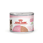 Royal Canin  Mother And Baby Wet Cat Food Cans 195g