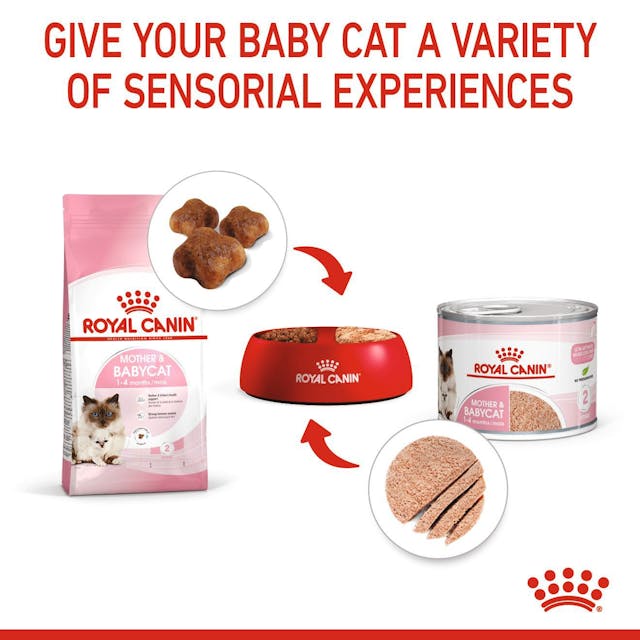 Royal Canin  Mother And Baby Wet Cat Food Cans 195g