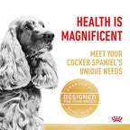 Royal Canin - Cocker Spaniel Breed Adult Dog Dry Food (3kg)