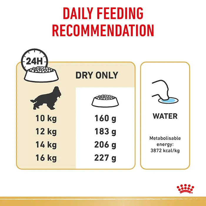 Royal Canin - Cocker Spaniel Breed Adult Dog Dry Food (3kg)