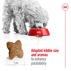 Royal Canin Mini Adult Dry Dog Food 8kg