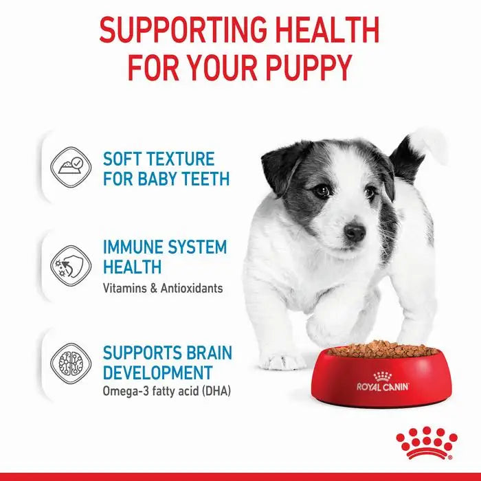 Royal Canin Mini Puppy Wet Dog Food Pouches