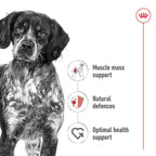 Royal Canin Medium Breed Adult Pouch 140gx10