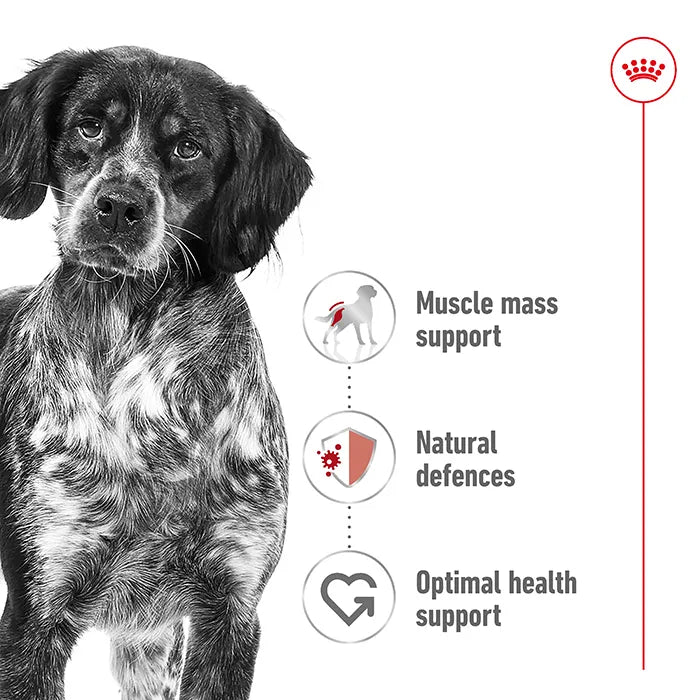Royal Canin Medium Breed Adult Pouch 140gx10