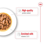 Royal Canin Medium Breed Adult Pouch 140gx10