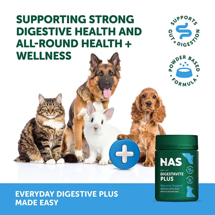 Natural Animal Solutions Digestavite Plus 100g