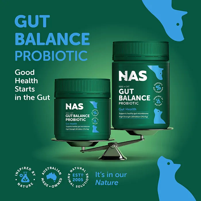 Natural Animal Solutions Gut Balance ProBiotic For Cats 80g