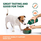 Natural Animal Solutions Salmon Omega Oil For Dogs and Cats 500ml