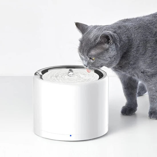PETKIT Eversweet 3 Pro- Wireless Smart Drinking Fountain - 1.8L