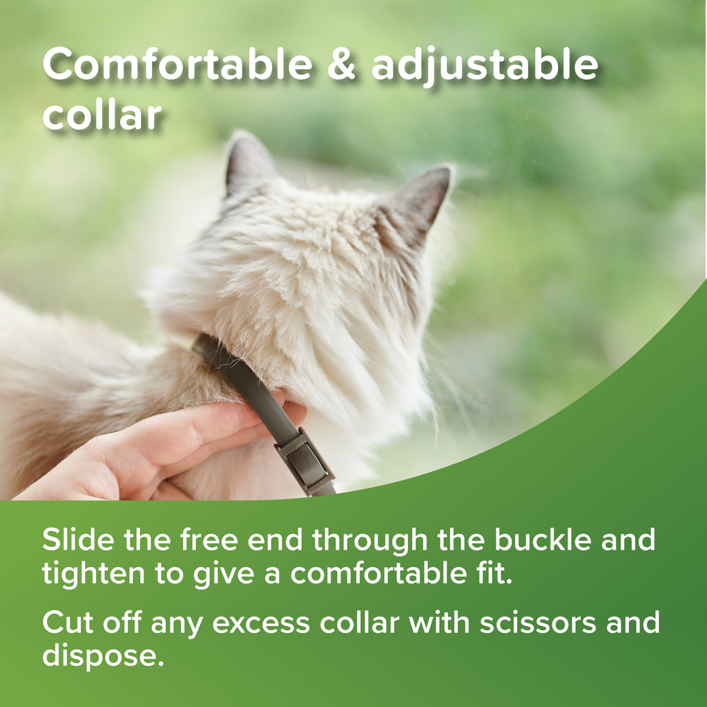 Beaphar VETOpure Flea & Tick Collar Green Cat