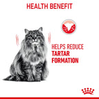 Royal Canin Dental Care Adult Dry Cat Food 3.5kg
