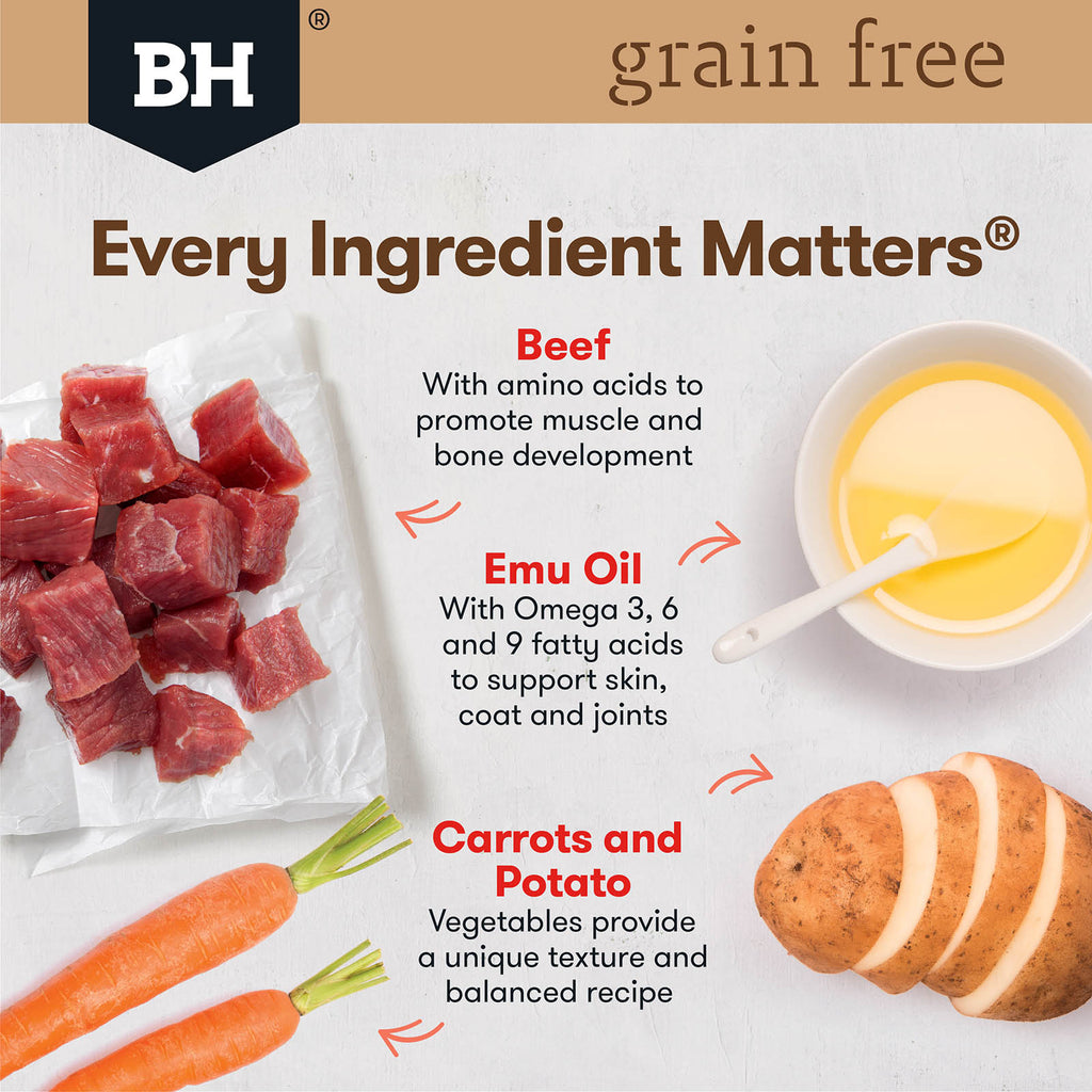 BLACK HAWK GRAIN FREE BEEF 100G 9PK
