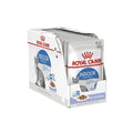 Royal Canin - Indoor Jelly Adult Cat Wet Food (85g x 12pk)