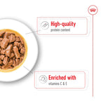 Royal Canin Medium Adult Wet Dog Food