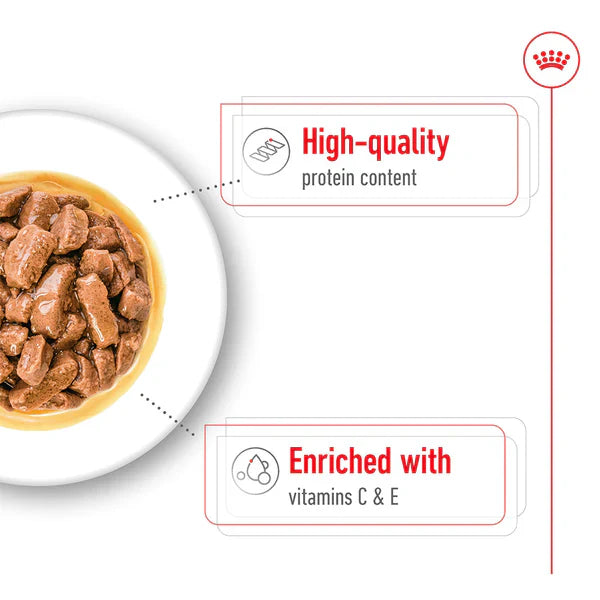 Royal Canin Medium Adult Wet Dog Food