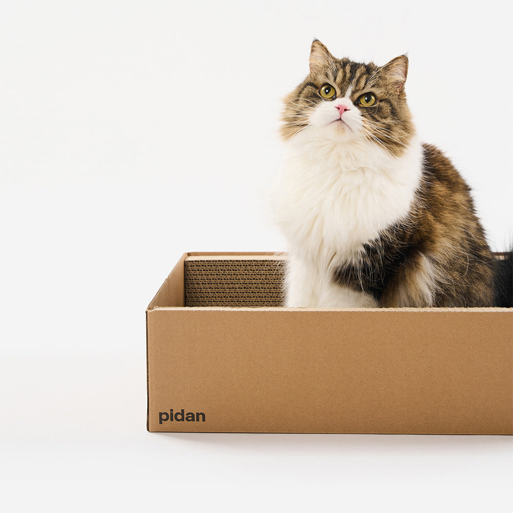 PIDAN Cat Scratcher Carton Type
