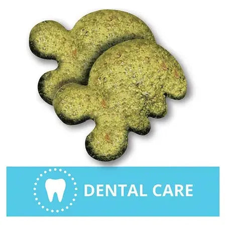 Greenies Cat Treats Dental Savoury Salmon Flavour 130g