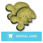 Greenies Cat Treats Dental Savoury Salmon Flavour 130g