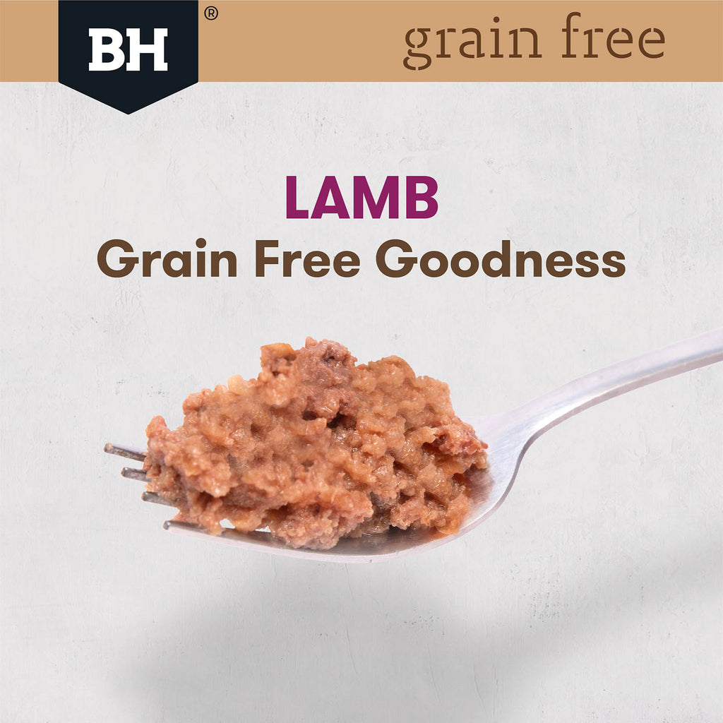 BLACK HAWK GRAIN FREE LAMB 100G 9PK