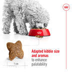 Royal Canin Mini Adult Dry Dog Food 2kg