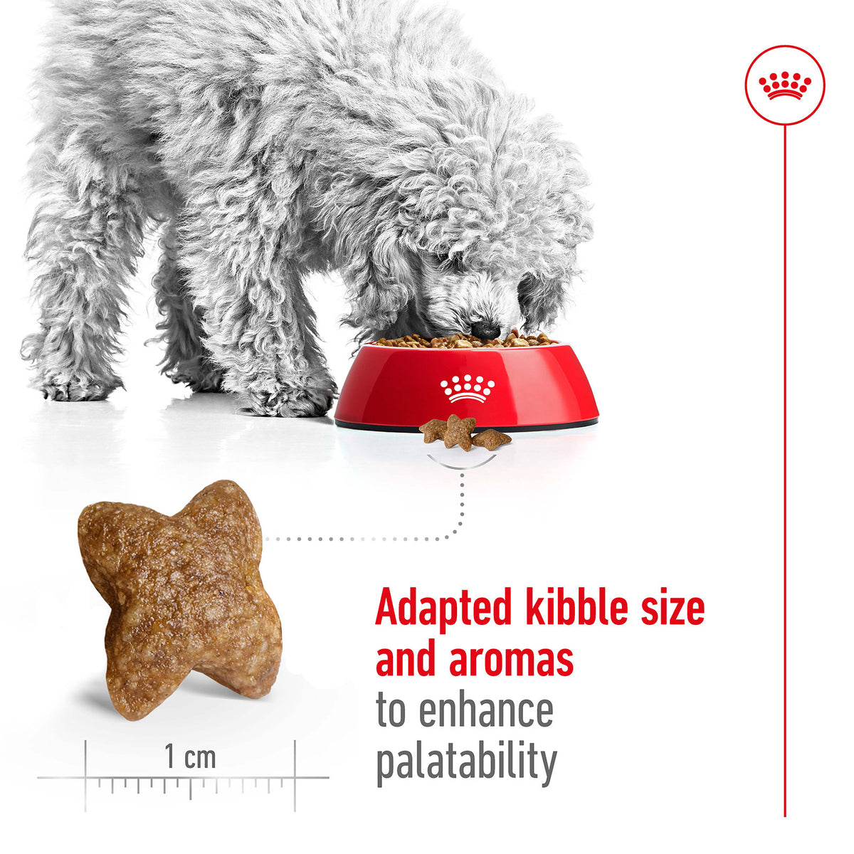 Royal Canin Mini Adult Dry Dog Food 2kg
