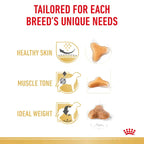 Royal Canin Pug Puppy Dry Dog Food 1.5kg