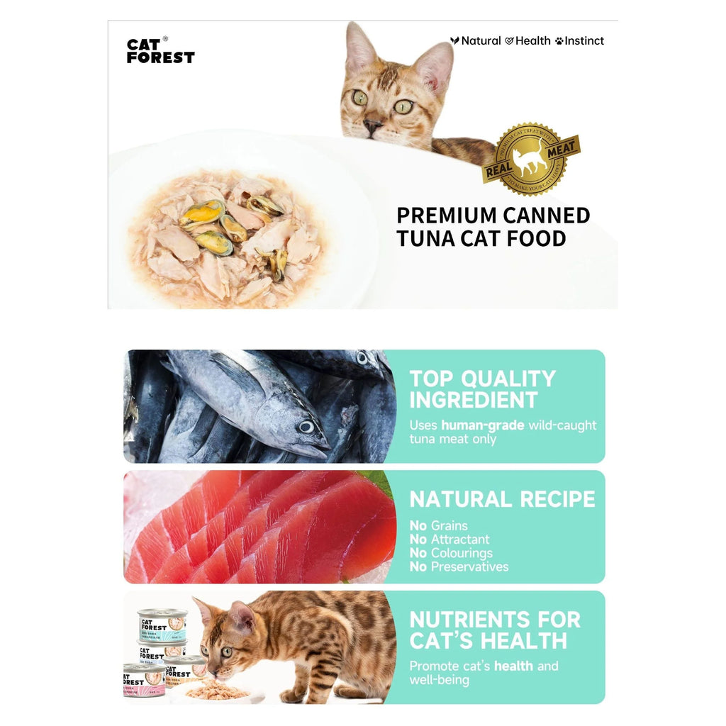 CAT FOREST Premium Tuna White Meat With Shrimp In Gravy Cat Canned Food 85G X 24