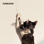 PURROOM Retractable Cat Teaser