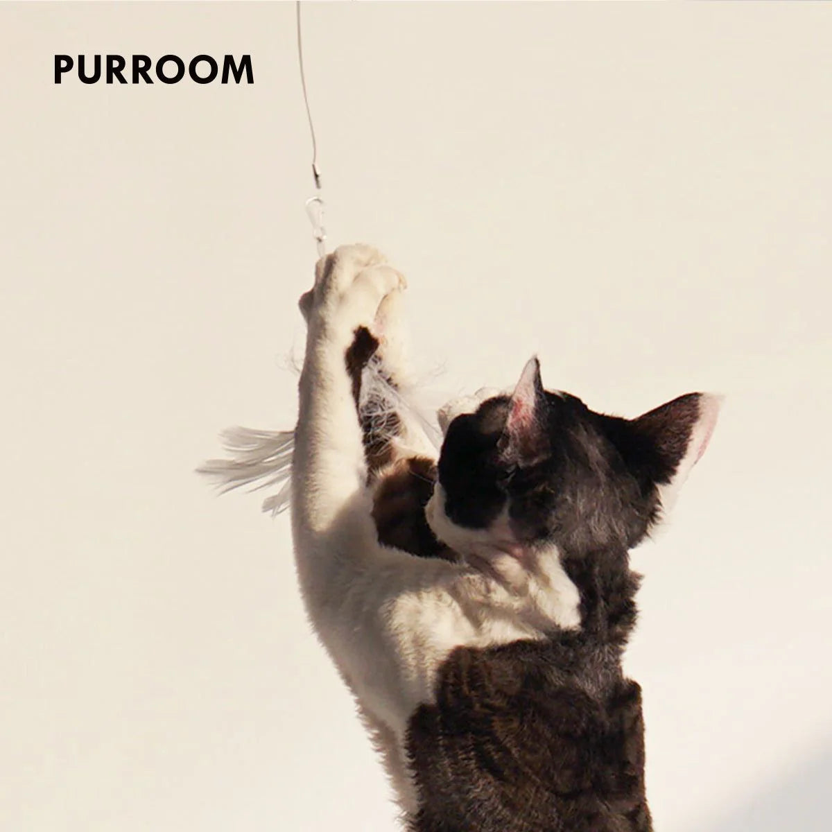 PURROOM Retractable Cat Teaser