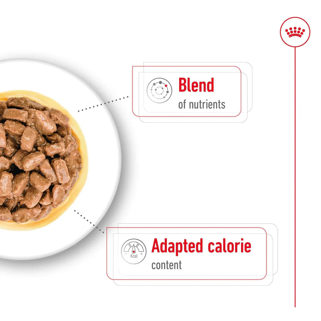 Royal Canin Mini Ageing Wet Dog Food