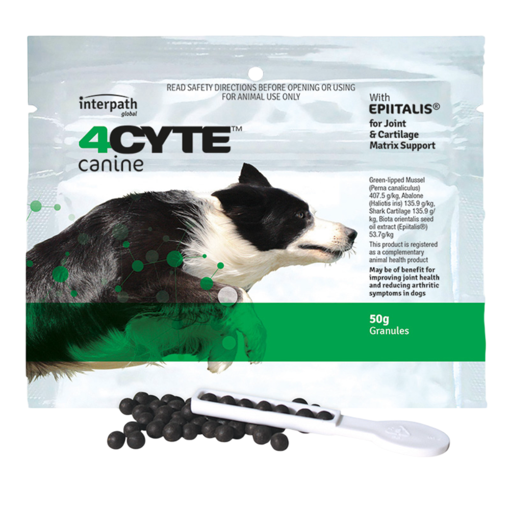 4CYTE Canine Joint Support Supplement 50g